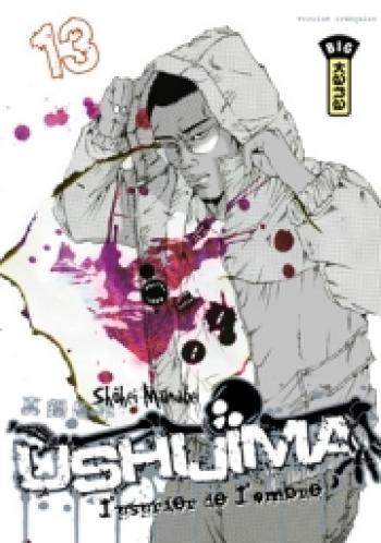 Couverture de l'album Ushijima - L'Usurier de l'ombre - 13. Ushijima, l'usurier de l'ombre - Tome 13