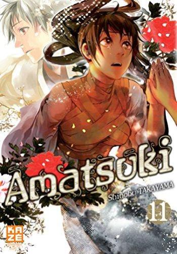 Couverture de l'album Amatsuki - 11. Tome 11