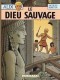 Alix : 9. Le Dieu sauvage