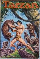 Extrait 1 de l'album Tarzan (Recueil) - 30. Le seigneur de la jungle