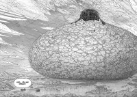 Extrait 1 de l'album Le royaume du Roisson - 1. Tome 1