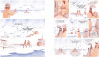 Extrait 2 de l'album Eino (One-shot)