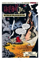 Extrait 3 de l'album Hellboy - Histoires bizarres - 3. Histoires bizarres, Tome 3