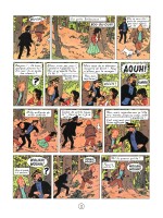 Extrait 2 de l'album Les Aventures de Tintin - 21. Les bijoux de la Castafiore