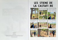 Extrait 1 de l'album Tintin (En langues régionales et étrangères) - 21. Les Stiene de la Castafiore (bruxellois)