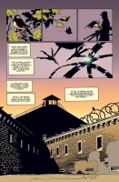 Extrait 1 de l'album 100 Bullets (Broché) - 9. Un frisson dans la jungle