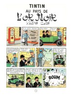 Extrait 1 de l'album Les Aventures de Tintin - 15. Tintin au pays de l'or noir