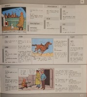 Extrait 2 de l'album Tintin (Divers et HS) - HS. Tintin au pays des mots